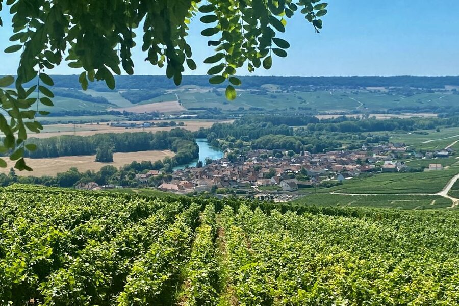 Grand Vintage Private Champagne Moet Chandon Veuve Clicquot - Hautvillers, Dom Pérignon, and the vineyard view