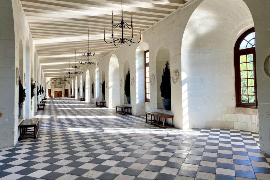 Loire Valley Castles: Chenonceau, Amboise & Da Vinci Trip - Royal Amboise and Leonardo’s tomb
