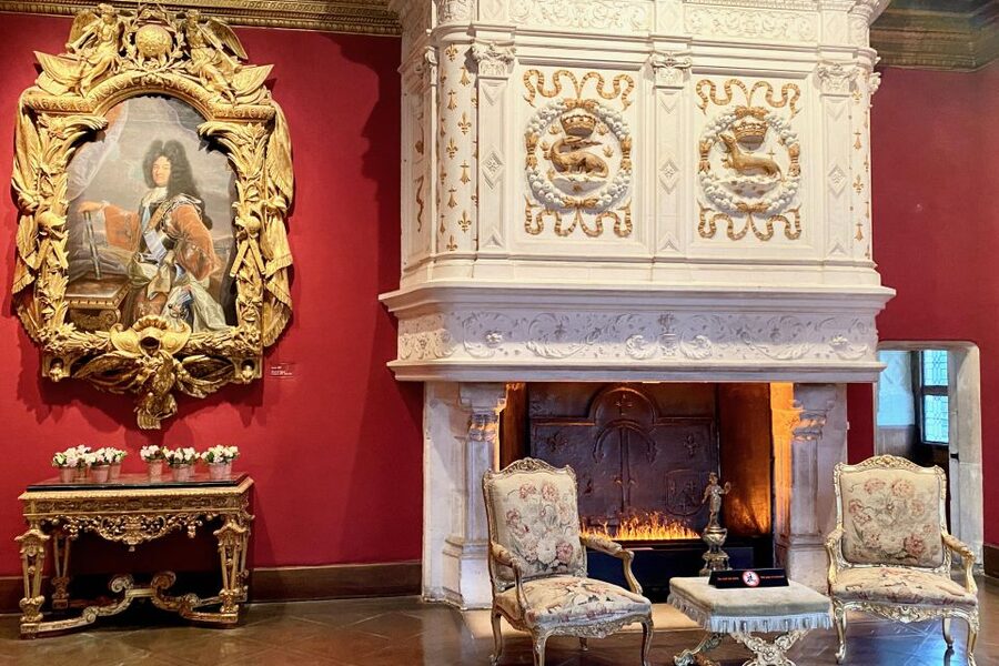 Loire Valley Castles: Chenonceau, Amboise & Da Vinci Trip - The guides can shape the whole day