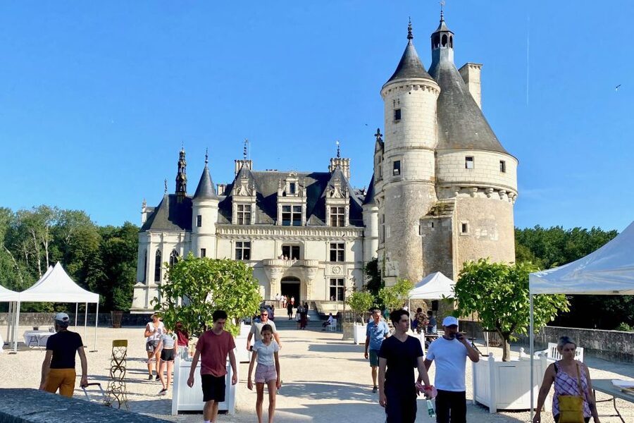 Loire Valley Castles: Chenonceau, Amboise & Da Vinci Trip - Chenonceau and its gardens, the most graceful first stop
