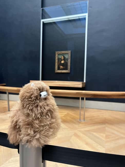 Louvre Museum Entry Ticket and Private Guided Tour - Why a private Louvre tour can make sense