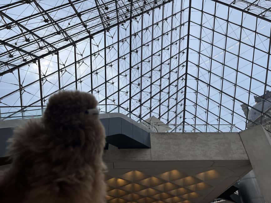 Louvre Museum Entry Ticket and Private Guided Tour - Venus de Milo and the power of sculpture