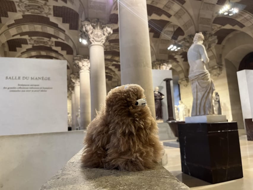 Louvre Museum Entry Ticket and Private Guided Tour - Winged Victory of Samothrace and the grand reveal