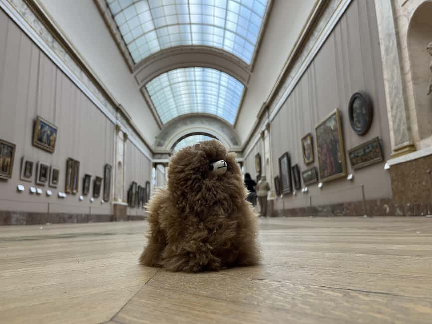 Louvre Museum Entry Ticket and Private Guided Tour - Meeting Mr. Lama Leonardo near the metro