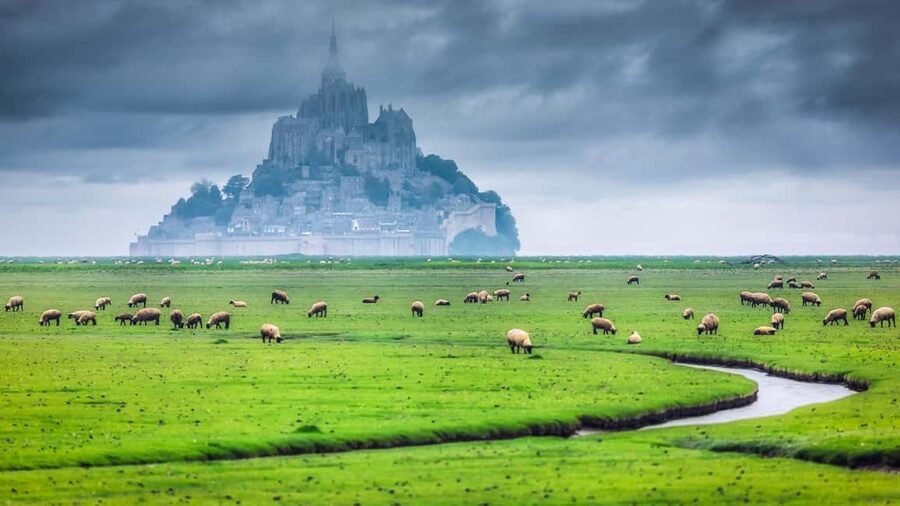 Mont Saint-Michel Small-Group Day Trip from Paris with Abbey Ticket - Meeting at Louvre-Rivoli at 7:15 AM