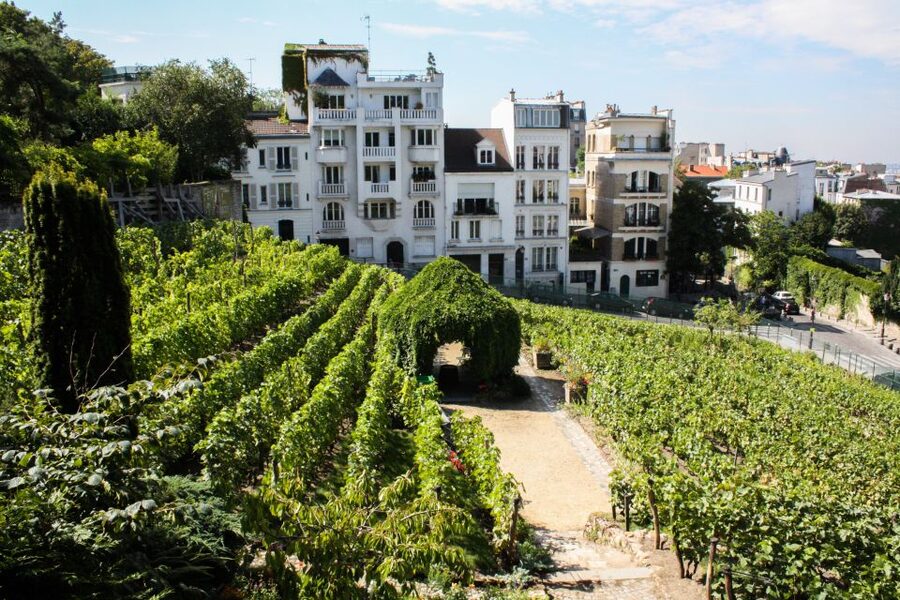 Montmartre: Private Treasure Hunt for Families and Kids - Windmills, vineyards, and the village feel