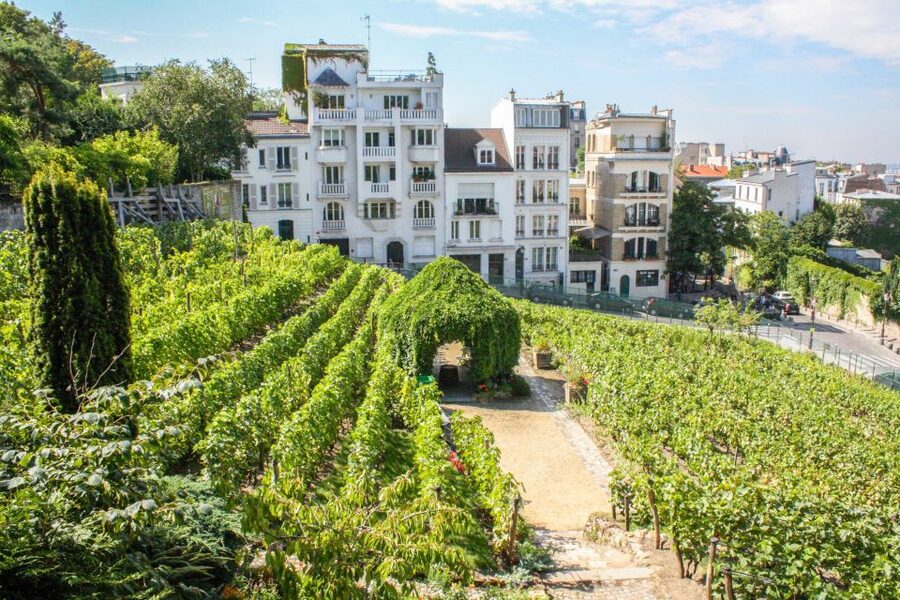 Montmartre & Sacré Coeur: 2.5-Hour Walking Tour - Why Montmartre works best on foot