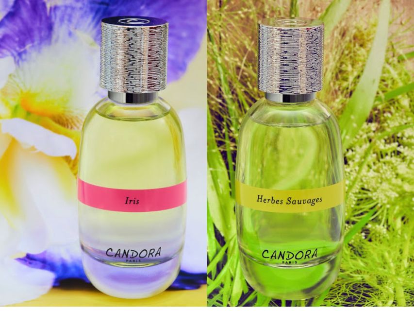Paris: 2-Hour Perfume Creation Workshop - What the two-hour Candora workshop is really like