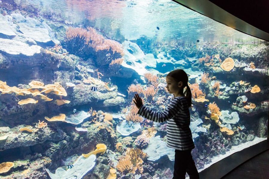 Paris: Aquarium de Paris Entrance Ticket - Who will enjoy this aquarium most?