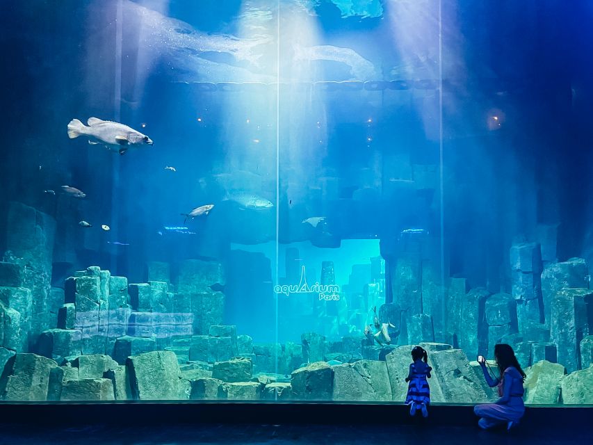 Paris: Aquarium de Paris Entrance Ticket - A quiet marine world beneath Trocadéro