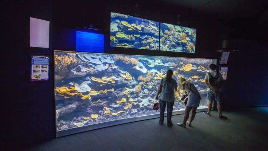 Paris: Aquarium de Paris Entrance Ticket - A self-guided visit, not a guided tour