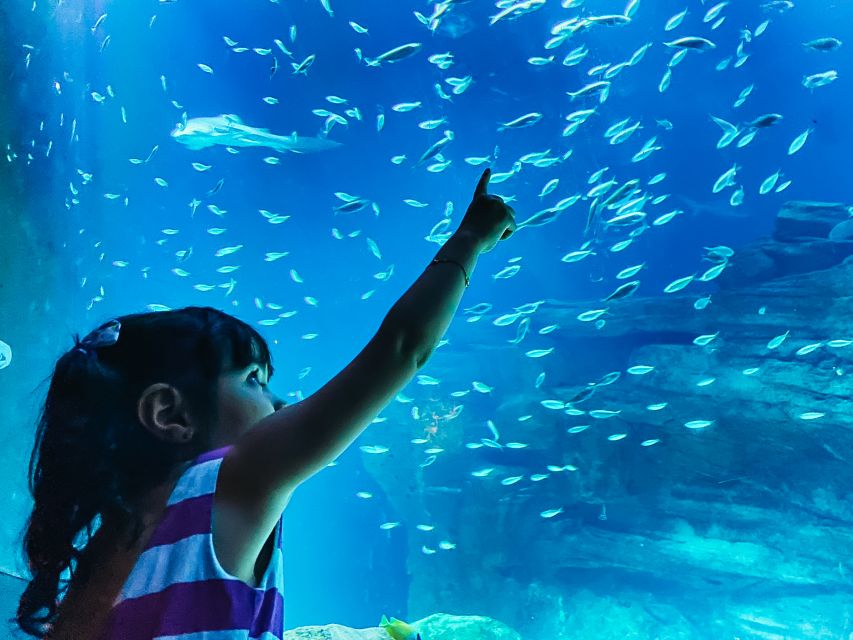 Paris: Aquarium de Paris Entrance Ticket - What you see first: sharks, rays, and open-water tanks