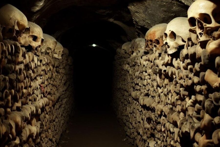 Paris: Catacombs, Audio Guide, and River Cruise Option - Who will enjoy this experience most?