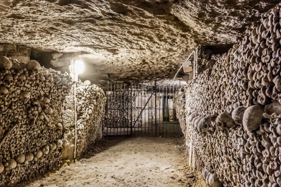 Paris: Catacombs Restricted Access Tour - What the guide adds over walking alone