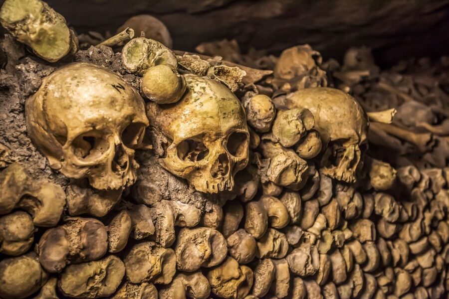 Paris: Catacombs Restricted Access Tour - Who should book this Catacombs visit?