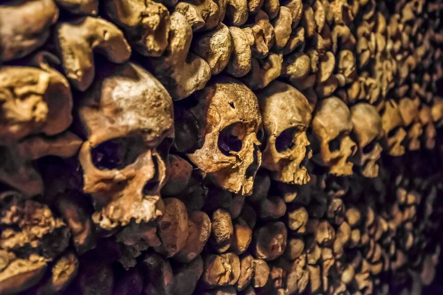 Paris: Catacombs Restricted Access Tour - Meeting at Denfert Rochereau without wasting time