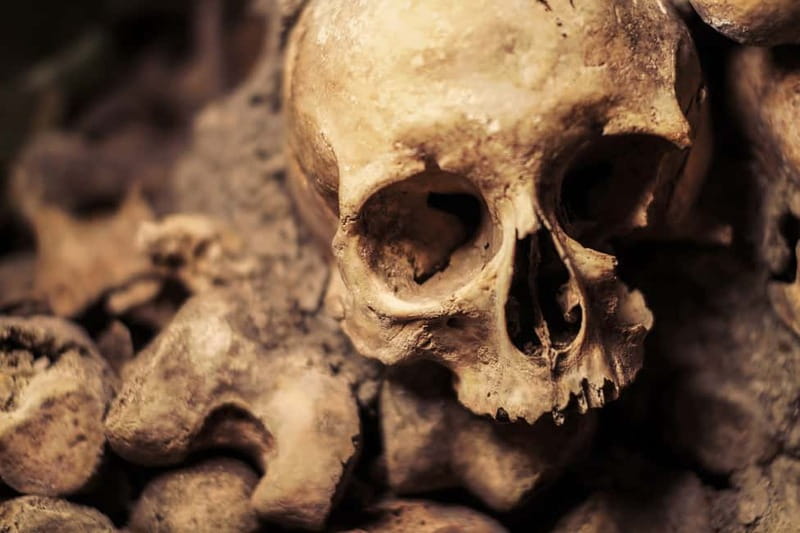 Paris: Catacombs Special Access Tour - The public galleries and six million bones