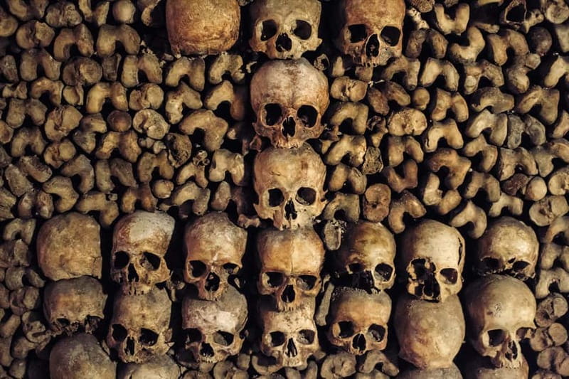 Paris: Catacombs Special Access Tour - My verdict on the $158 experience