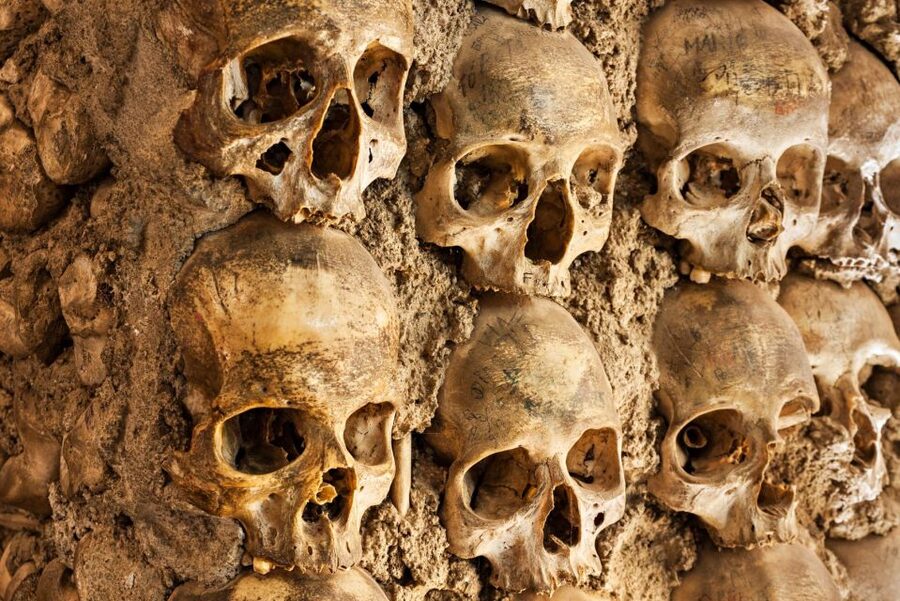 Paris: Catacombs Ticket and Seine River Cruise - The audio guide keeps the visit flexible