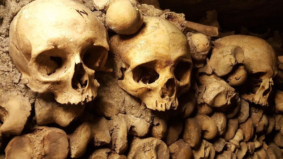 Paris: Catacombs Ticket and Seine River Cruise - The $104 question: is the bundle good value?
