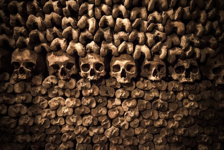 Paris: Catacombs Ticket and Seine River Cruise - Small details that can save your visit