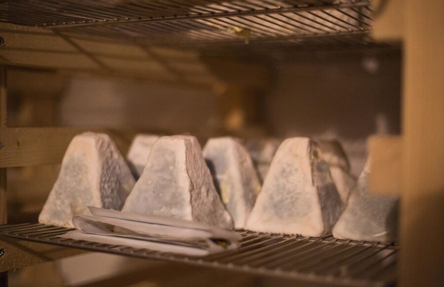 Paris: Cheese and Wine Class in a 17th Century Cellar - A cheese lesson below Île Saint Louis