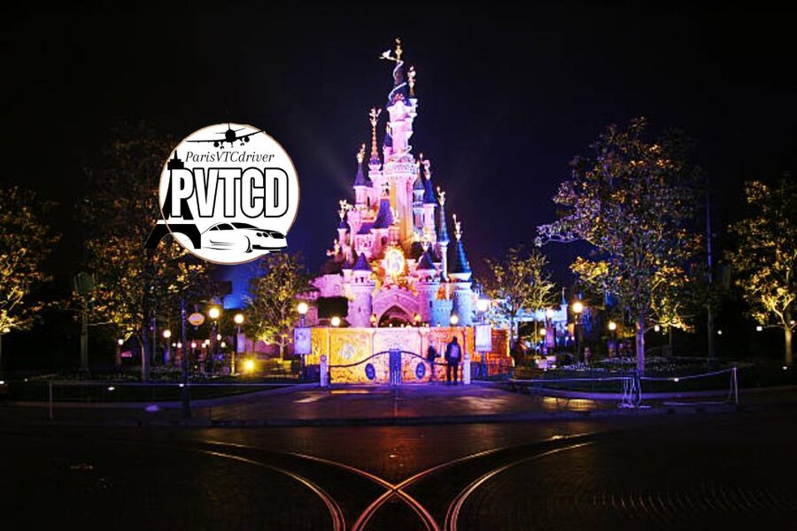 Paris: Disneyland Entry Ticket & Private Round-Trip Transfer - What the Feedback Tells Me About the Service