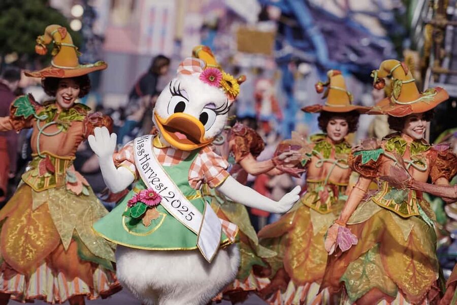 Paris: Disneyland Paris Ticket with Transfer - Choosing Disneyland Park or both Disney parks
