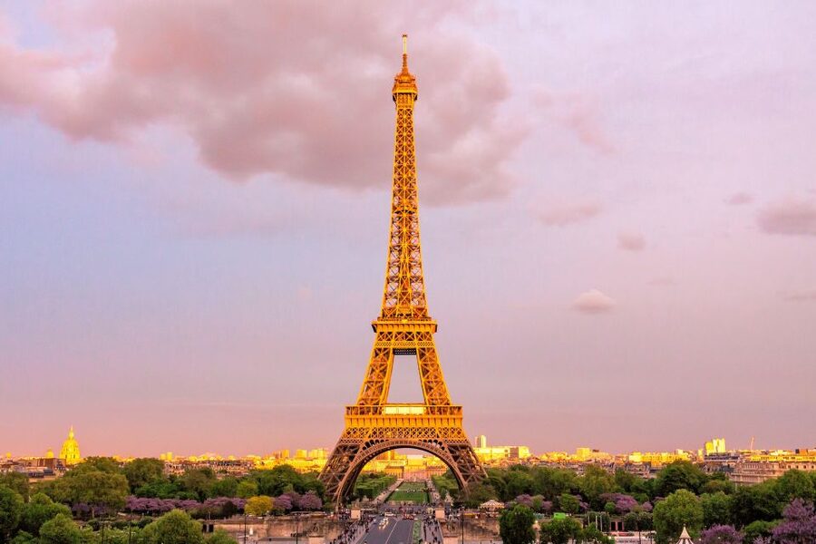 Paris: Eiffel Tower 2nd Floor Access or Summit Access - Meeting your guide near the Eiffel Tower