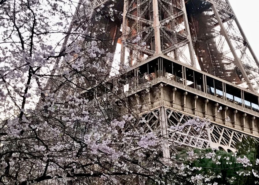 Paris: Eiffel Tower Guided Tour with Summit Access - Should you book this summit tour?