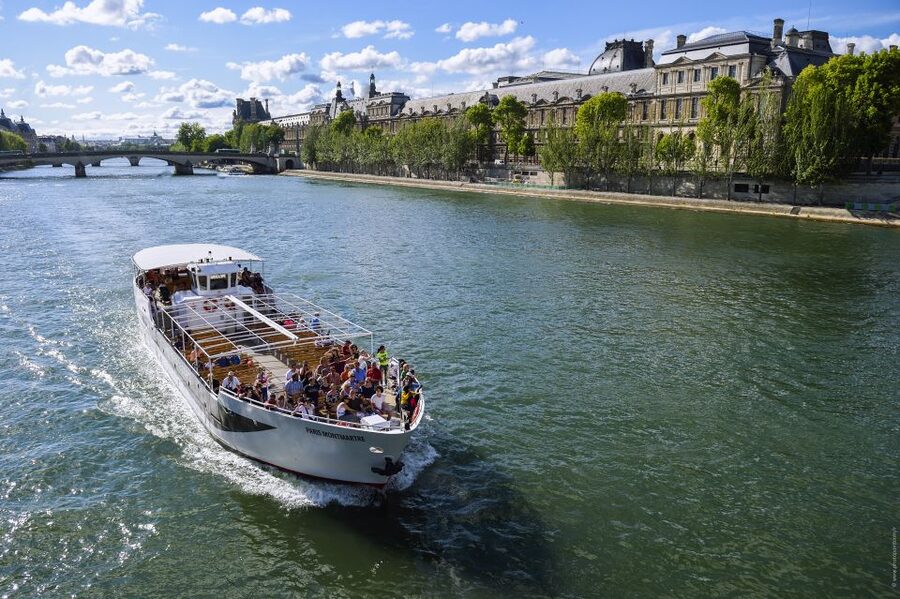 Paris: Family-Friendly River Seine Guided Cruise - The quiet advantage of an electric boat
