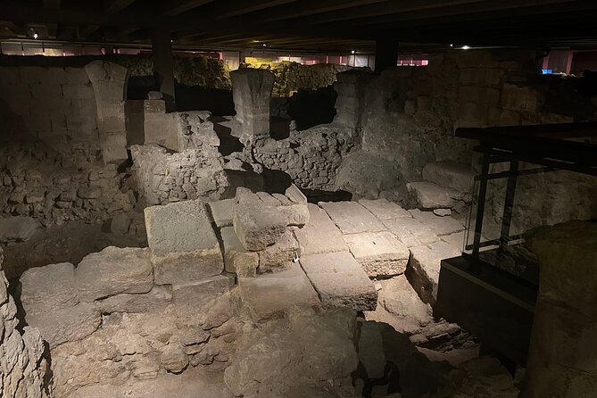 Paris: Île de la Cité and Notre-Dame Walking Tour With Crypt - The guide and group experience