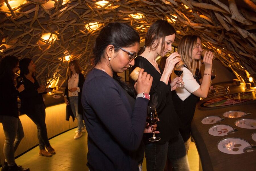 Paris: Les Caves du Louvre Guided Tour with Wine Tastings - Should you book this wine tour?