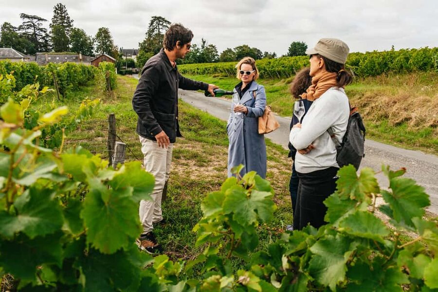 Paris: Loire Valley Chambord Castle, Wine Tasting & Lunch - The countryside between castles and cellars