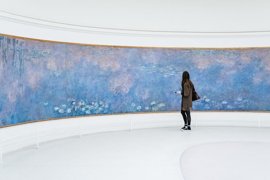 Paris: Orangerie Museum Skip-the-Line Entry and Guided Tour - Matisse, Picasso, and the break with tradition