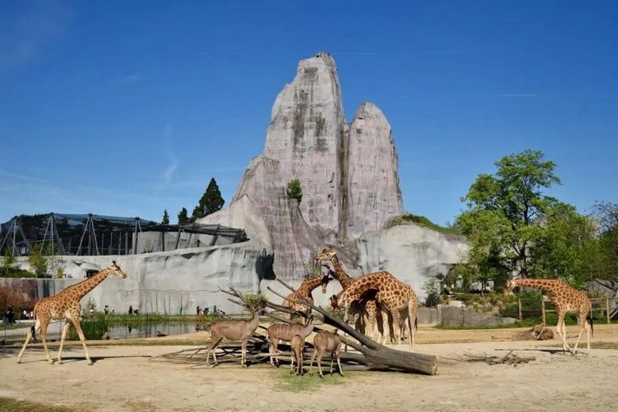 Paris: Paris Zoological Park Entrance Ticket - Amazonia is more than a rainforest backdrop