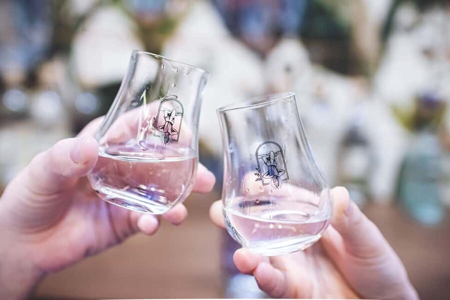 Paris Visit and gin tasting in English - The guide makes the difference