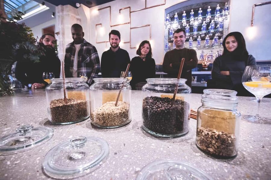 Paris Visit and gin tasting in English - Who should book this experience?
