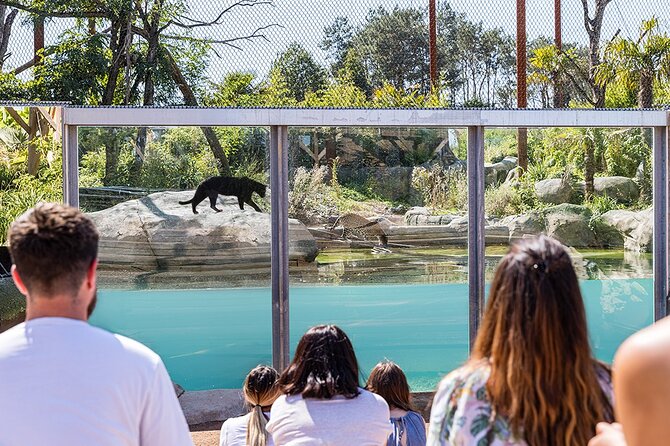 Parrot World Immersive Wildlife Park Entry Ticket next to Paris - Food, parking, and family breaks