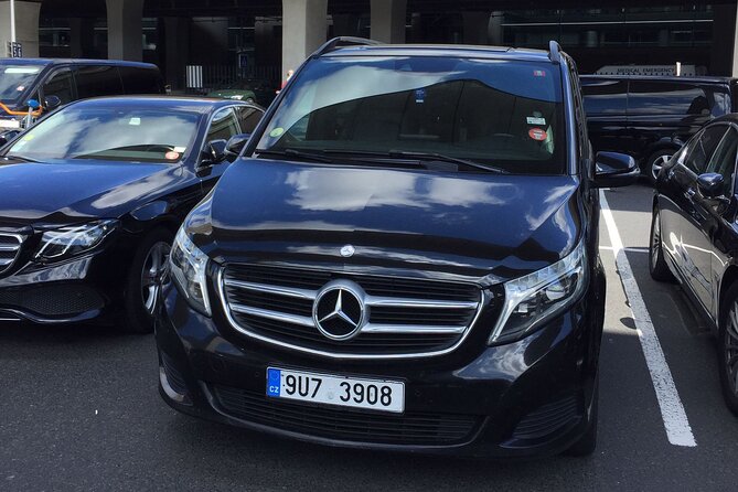 Private Arrival Transfer from CDG or ORLY airports to Paris city - Meeting your driver beyond baggage claim
