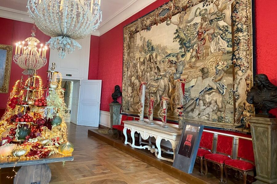 Private Chenonceau Chambord Amboise Loire Castles from Paris - Chenonceau, the ladies’ castle