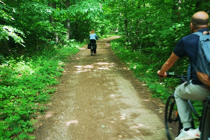 Versailles Full-Day Electric Bike Tour : Market, Picnic & Palace - Returning to Paris by train