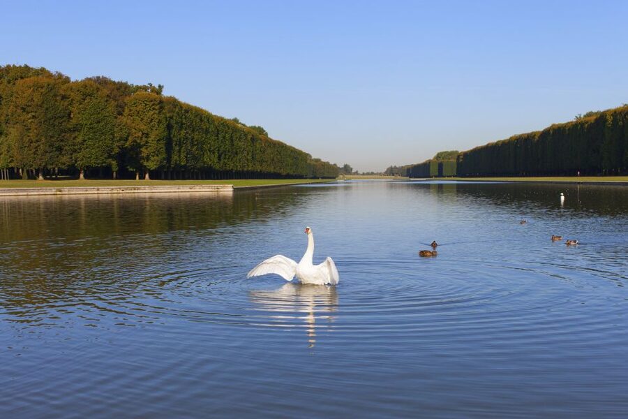 Versailles: Skip-the-Line Guided Tour of Palace with Gardens - Should you book it?
